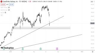 CRWD Stock Technical Analysis 210724 [upl. by Gustave]