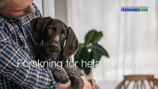 Forskning för hela hundlivet [upl. by Inaluiak412]