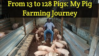 Pig Farming Success Story  From 13 to 128 Pig [upl. by Toll]