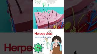 Herpes Virus EXPERT Reveals Shocking Pathology Secrets 3D Animation canceranimation health [upl. by Idnim]