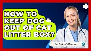 How To Keep Dog Out Of Cat Litter Box  PetGuide360com [upl. by Enylrac364]