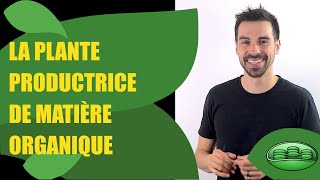 COURS DE TERMINALE SPÉCIALITÉ SVT CHAP9 LA PLANTE PRODUCTRICE DE MATIÈRE ORGANIQUE  Bio Logique [upl. by Aneelehs981]