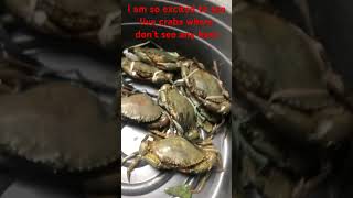 Live Crabsseafood shortvideo [upl. by Atarman717]