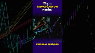 DevalÃ¼asyon nedir  Finansal Terimler shorts [upl. by Carlson]