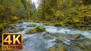 Beautiful Nature Video in 4K Ultra HD  Autumn River Sounds  5 Hours Long [upl. by Eniawed]