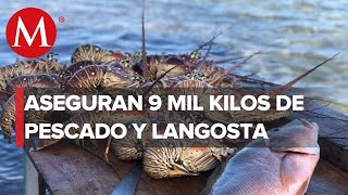 Retienen pescado y langosta en el estado de Yucatán por dudosa procedencia [upl. by Aziaf]