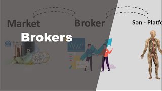 2 Brokers  Brokerlər  Sıfırdan Trading Dərsləri [upl. by Boeke]