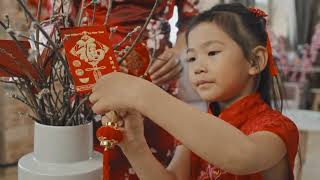 How Do You Celebrate Chinese New Year  Holiday Traditions [upl. by Ameerahs690]