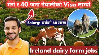 ireland working visa for nepali  how to apply ireland work visa from nepal  ireland kasari jane [upl. by Anatnom]