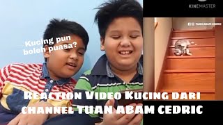 Muadz dan Muiz Reaction Video Kucing di Channel TUAN ABAM CEDRIC Kucing pun boleh puasa [upl. by Ainoloppa]