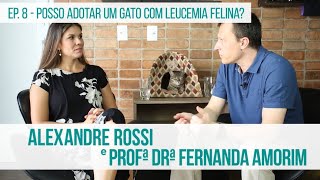 NOBIVAC  Vacinação em Gatos Ep 8  Posso adotar um gato com leucemia felina [upl. by Laurella76]