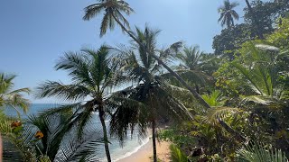 Coconut palms and turquoise waters in Manzanillo Costa Rica [upl. by Constantine519]