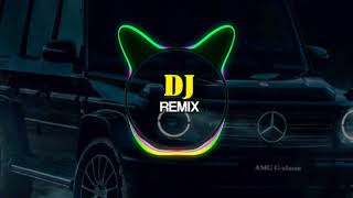 Serena  Safari quot Bass Boosted remix new TikTok viral gem music 2023 [upl. by Urian893]