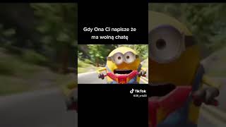 minionki polski dubbing [upl. by Favianus]