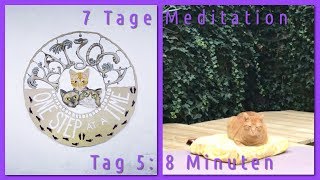 7 Tage Meditation  Tag 5 8 Minuten Energie tanken Mantra [upl. by Adnhoj]