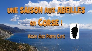 Une SAISON aux ABEILLES en CORSE  Visite chez Pierre Carli [upl. by Kata]