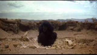 2001 Space Odyssey theme  Monkey and Bone Dawn of Man HD [upl. by Einnal]