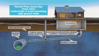 MSD Sewer Surcharge with Backflow Device Bad Plumbing [upl. by Atikim988]