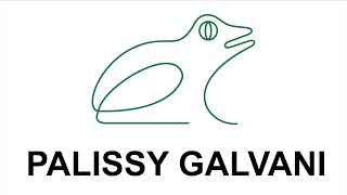 Palissy Galvani  Perfil Empresarial [upl. by Aihsat]