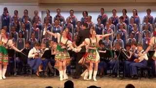 quotКалинкаquot Ансамбль Локтева quotKalinkaquot Loktev Ensemble 20140503 [upl. by Noillimaxam]