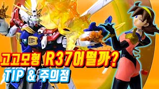 r37 god gundam tipamp 주의점rg 1144 gaogao1144 GODGUNDAMgogo modelg framerg ko bootleg gundam도몬캇슈 [upl. by Siraf]