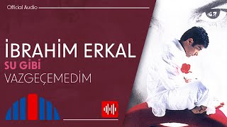 İbrahim Erkal  Vazgeçemedim Official Audio [upl. by Airpal]