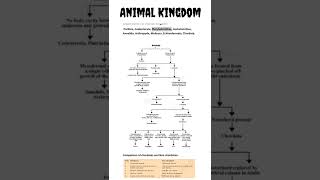 Animal Kingdom  NCERT  Life science [upl. by Carvey]