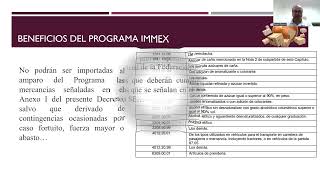 Decreto IMMEX [upl. by Niwri]