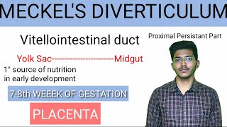 Meckels Diverticulum made easy  Embryology  Anatomy [upl. by Tori]