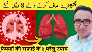 Top 8 Herbs for Lung Health Clearing Mucus COPD and Killing Viruses [upl. by Allcot3]