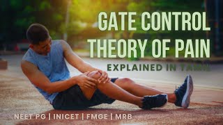 Gate Control Theory of Pain  Explained in Tamil  NEET PG  INICET  FMGE  MRB  UPSCCMS [upl. by Popele776]