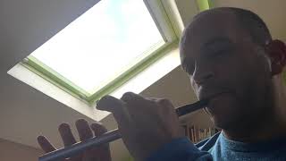 Stolen Kiss tin whistle [upl. by Marceau14]