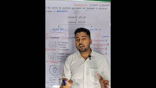 Formation of thrombocyteThrombopoiesis trending ytshorts medicaleducation [upl. by Nauwaj401]