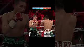 Nonito Donaire VS Cesar Juarez  Highlights boxing action combat sports fight [upl. by Acinej]