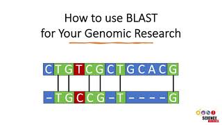 How to Use BLAST for Finding and Aligning DNA or Protein Sequences [upl. by Hsakaa]