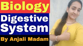 Digestive System पाचन तंत्र Biology By Anjali Madam  Amku Education [upl. by Mill262]