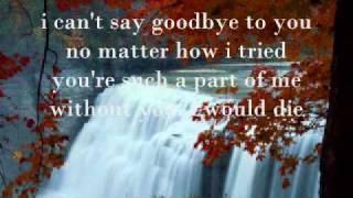 I cant say goodbye to you by Helen Reddy with Lyrics [upl. by Amero]