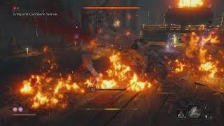 SEKIRO Longarm Centipede Senun Boss Fight [upl. by Chyou]