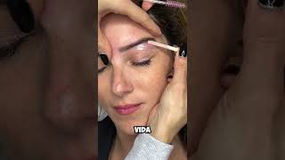 TRANSFORMA el rostro de tu clienta con RESTRUCTURACION en CEJAS [upl. by Osber]