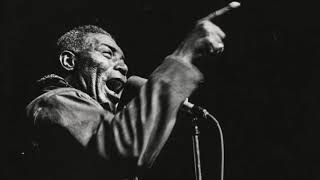 HOWLIN WOLF  Live in Chicago 1969  Full Album [upl. by Guillema]