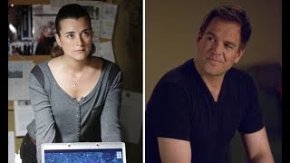 NCIS What does Ziva and Tonys life look like after leaving NCIS [upl. by Brouwer]