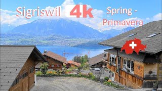 🇨🇭  SWITZERLAND SIGRISWIL GUNTEN INTERLAKEN in Spring Walking Tour beautiful villages SUIZA 4k 🇨🇭 [upl. by Anelhtak]