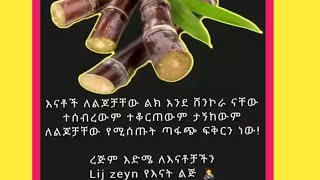 Jamila YouTube 2⃣ جميلهሁለ ገብ ዩቱብ 🧕 is liveስበር መረጃ 💚💛❤️ [upl. by Rosner]