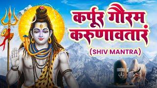 Karpur Gauram Karunavataram  कर्पूर गौरम करूणावतारम  Powerful Shiv Mantra  Most Popular Mantra [upl. by Mady]