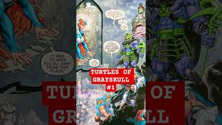 TURTLES OF GRAYSKULL 1 15secondcomics mywednesdaycomics comics [upl. by Keily135]