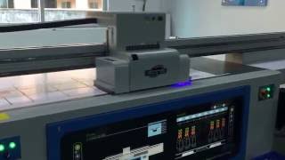 Hottest 3D effect Lenticular uv printer lenticular printing machine with Ricoh G5 head [upl. by Eromle]