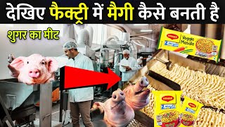 देखिए फैक्ट्री में Maggi कैसे बनती है   Maggi Making Process  Maggi Kaise Banti Hai [upl. by Haff]