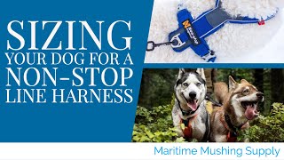 Sizing your dog for a NonStop Line Harness [upl. by Etan]