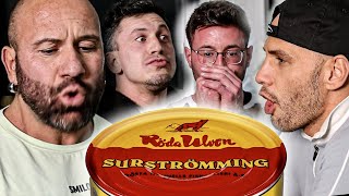 Surströmming Challenge Bis einer kot [upl. by Ewall528]