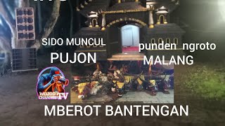 BANTENGAN SIDO MUNCUL [upl. by Lita]